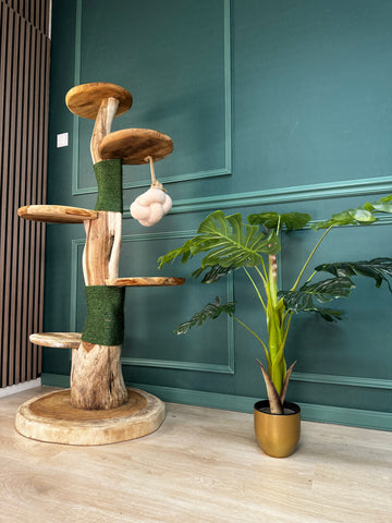 Suar Houten Kattenboom met 5 ligplaatsen, groen krabotuw en beige kattenspeeltje