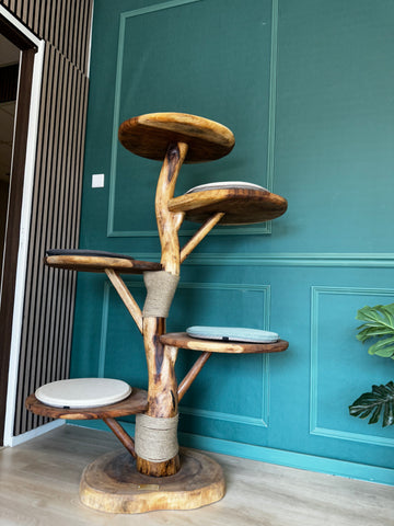 Natuurlijke houten krabpaal voor grote katten, Maine Coon krabpaal met 5 plateau's en kussens en hennep touw