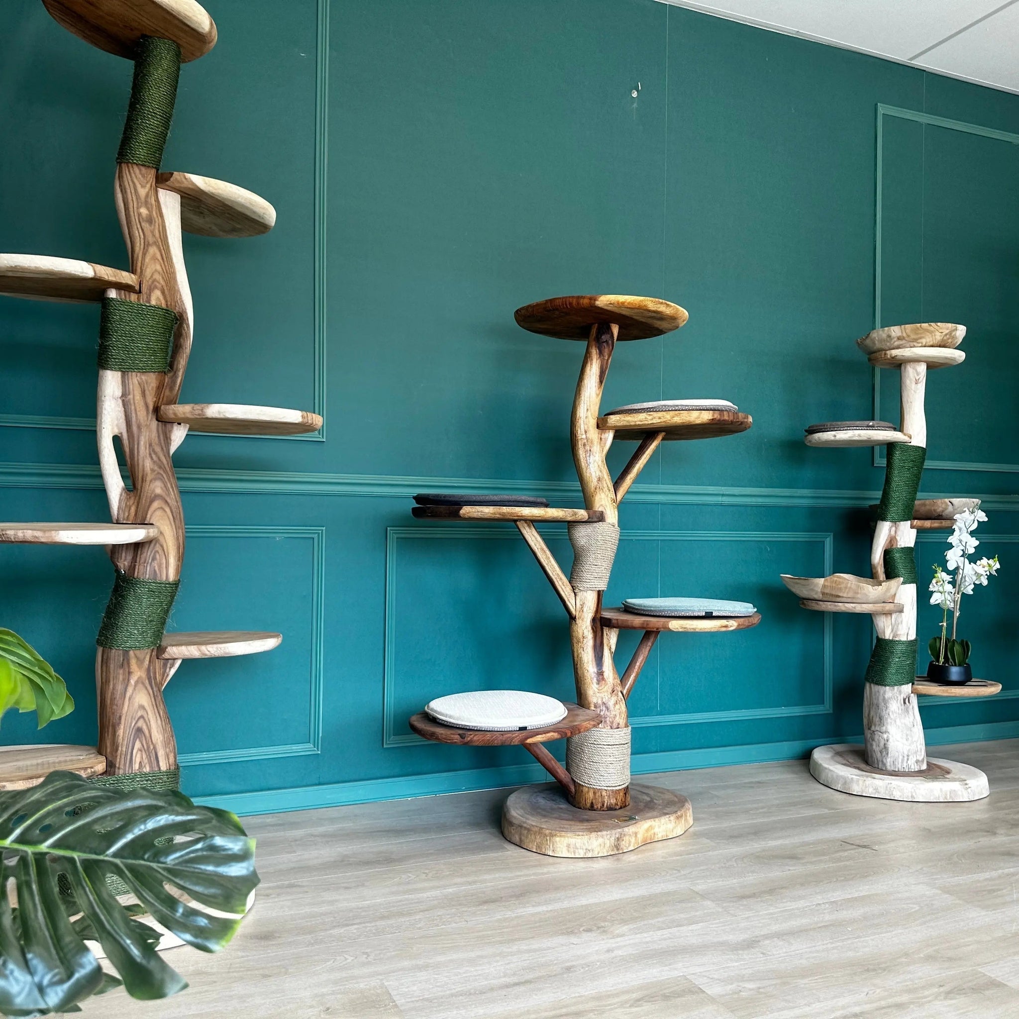 Houten Krabpalen voor grote en kleine katten - TropiCasa.nl