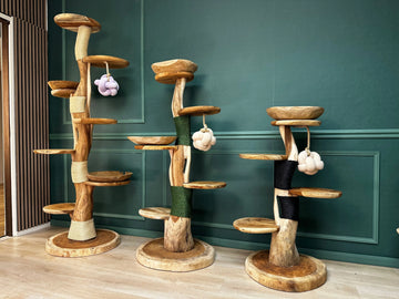 Houten krabpaal kopen Maine-Coon-Krabpalen-de-perfecte-combinatie-van-functionaliteit-en-elegantie TropiCasa.nl