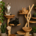 64892614344969.webp